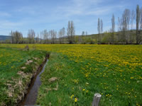 Vegaquemada